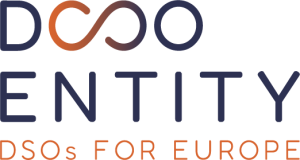 DSO ENTITY